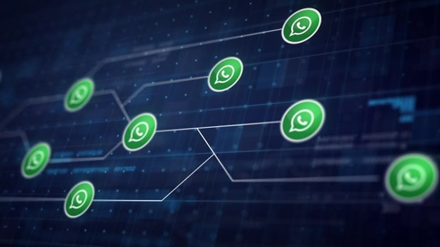 Como funciona o Whatsapp Business